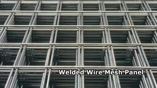 Welded Wire Mesh Panel