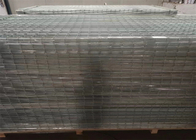 1" X 1/2" Galvanized Welded Wire Mesh / PVC Coated Welded Wire Mesh/Welded Wire Mesh Fence Panel