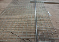 2" X 2" Galvanized Welded Wire Mesh Panel 1Mx2M