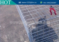 China Supplier Galvanized Gabion Basket/Welded Gabion Mesh/Sale Gabions