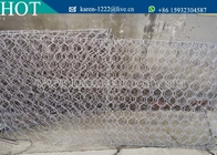 Galvanized Hexagonal Mesh/ Terra Mesh /Gabion Cages (Factory)