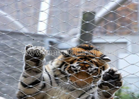 Hand Woven Tiger Mesh/Tiger Animal Enclosure Mesh Fence