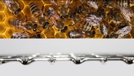10 mesh Galvanized Woven Bee Keeping Mesh 410mmx510mm