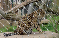 Stainless Steel Wire Mesh (Inox X-tend mesh) For Zoo Animal Enclosure
